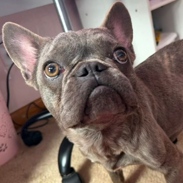 Tino